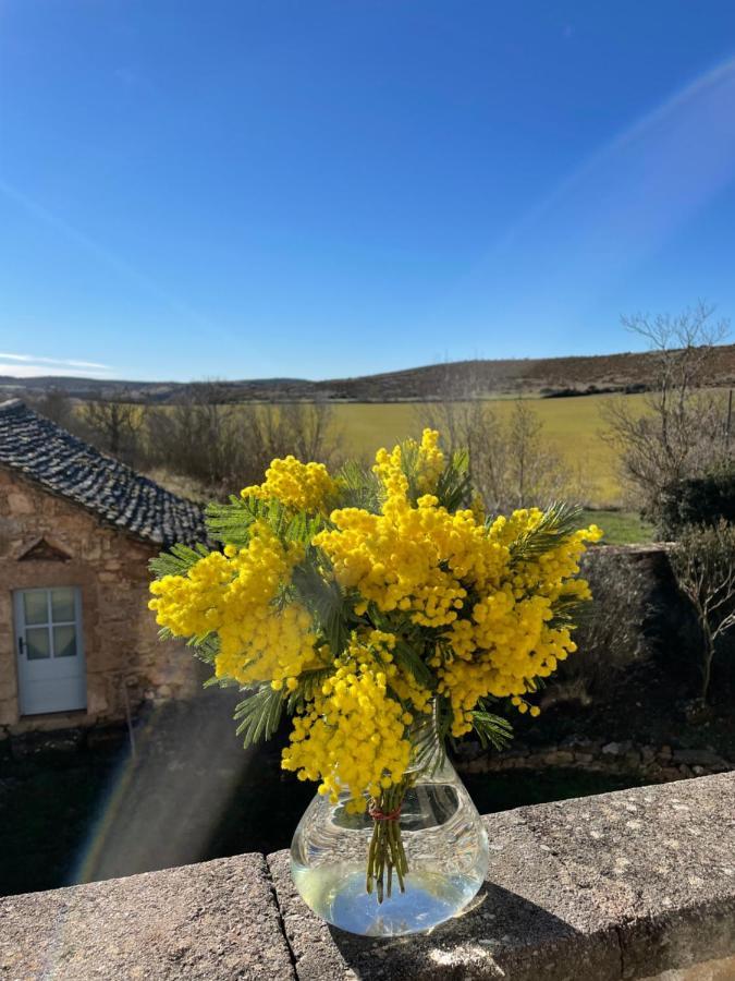 Le Du Larzac A Brunas * Creissels